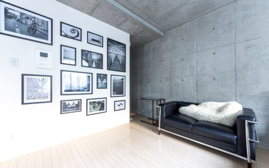 原宿でコンクリートを背景に自然光撮影したいなら|LAG SPACE Harajuku#1