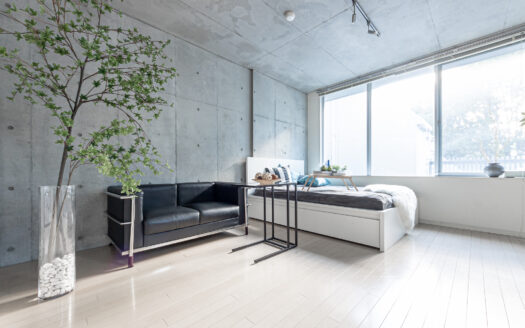 原宿でコンクリートを背景に自然光撮影したいなら|LAG SPACE Harajuku#1