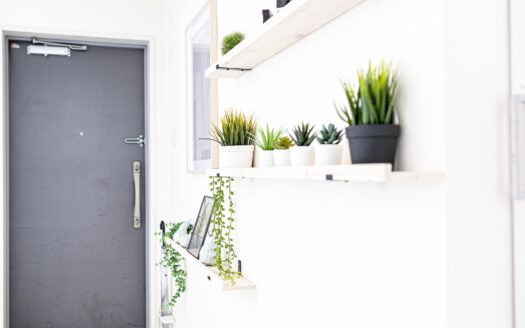 原宿でコンクリートを背景に自然光撮影したいなら|LAG SPACE Harajuku#1