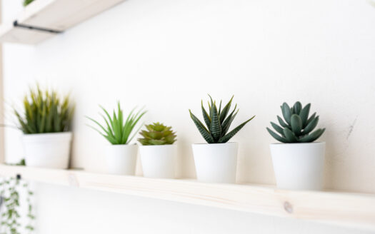 原宿でコンクリートを背景に自然光撮影したいなら|LAG SPACE Harajuku#1