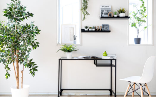 原宿でコンクリートを背景に自然光撮影したいなら|LAG SPACE Harajuku#1