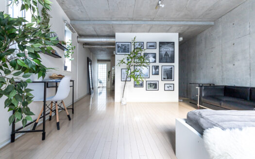 原宿でコンクリートを背景に自然光撮影したいなら|LAG SPACE Harajuku#1