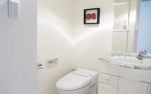 原宿でコンクリートを背景に自然光撮影したいなら|LAG SPACE Harajuku#1