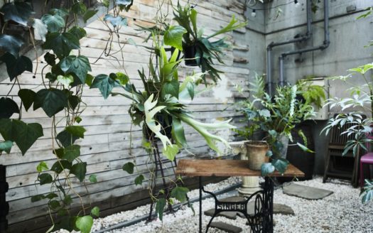 フランスのバレエ教室をイメージした撮影スタジオ|スタジオルケイブ