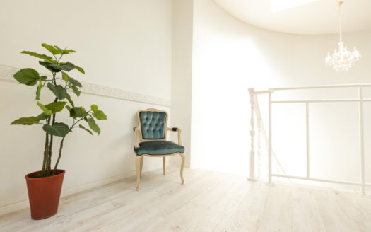 自然光と白ホリとコンクリートが選択できる恵比寿の一軒家|STUDIO SHOWCASE