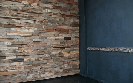 自然光と白ホリとコンクリートが選択できる恵比寿の一軒家|STUDIO SHOWCASE