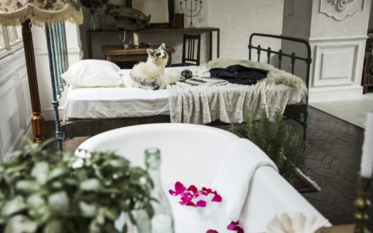 フランスのバレエ教室をイメージした撮影スタジオ|スタジオルケイブ