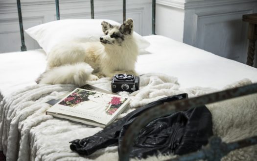 フランスのバレエ教室をイメージした撮影スタジオ|スタジオルケイブ