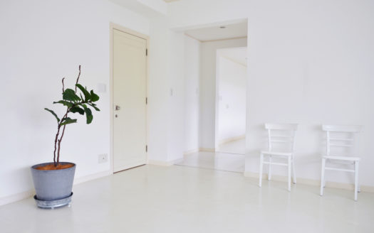 広大な庭を使った撮影に 目黒区の一軒家ハウススタジオ|SHILO STUDIO MEGURO